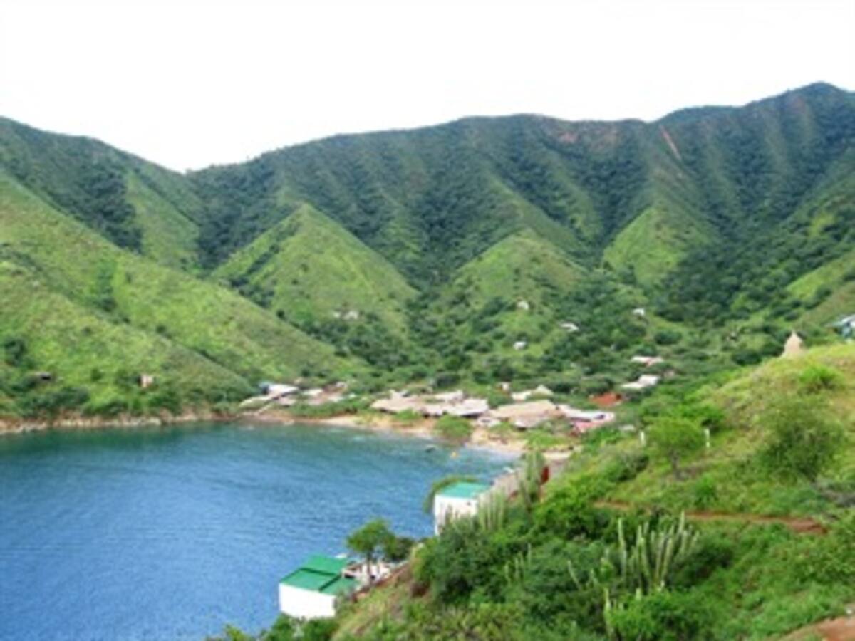 World Wide Fund for Nature premiará corto sobre mundo natural