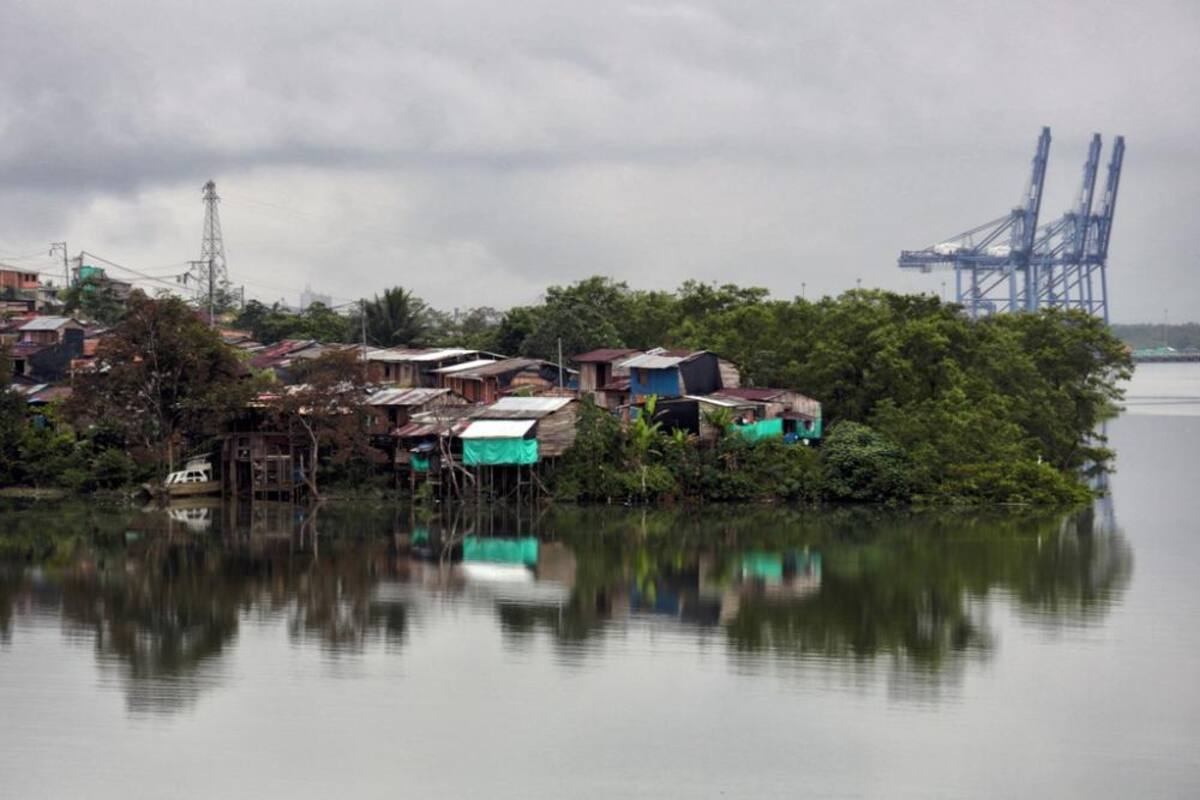 La red 'Mariposas de Alas Nuevas, Construyendo Futuro' es la primera organización colombiana en ganar el premio por atención a los desplazados de Buenaventura.