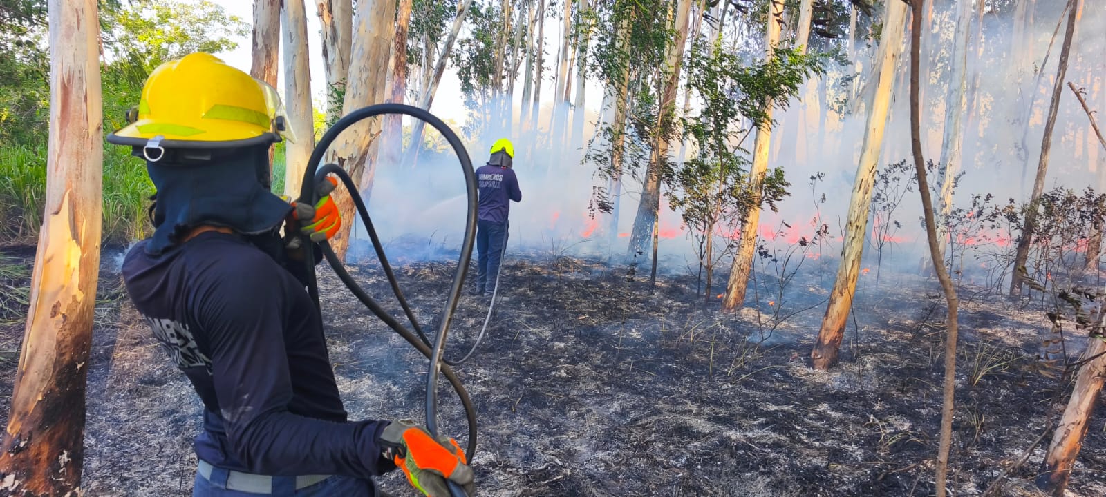 Incendio forestal en Polonuevo. Foto: Alcaldía de Baranoa.