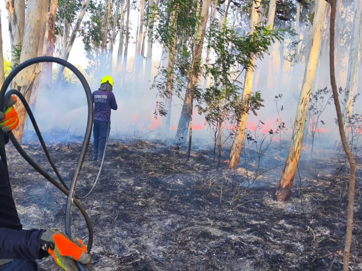 Incendio forestal consume 10 hectáreas en Polonuevo, Atlántico