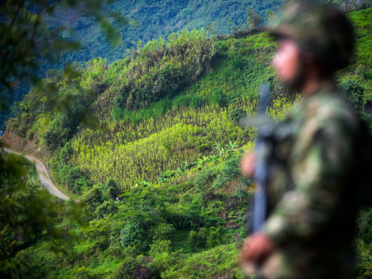 Advierten que nueva ofensiva en el Catatumbo debe superar el enfoque militar