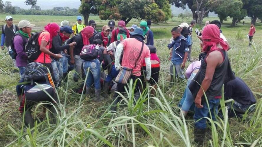 Imagen de referencia. Foto: Colprensa