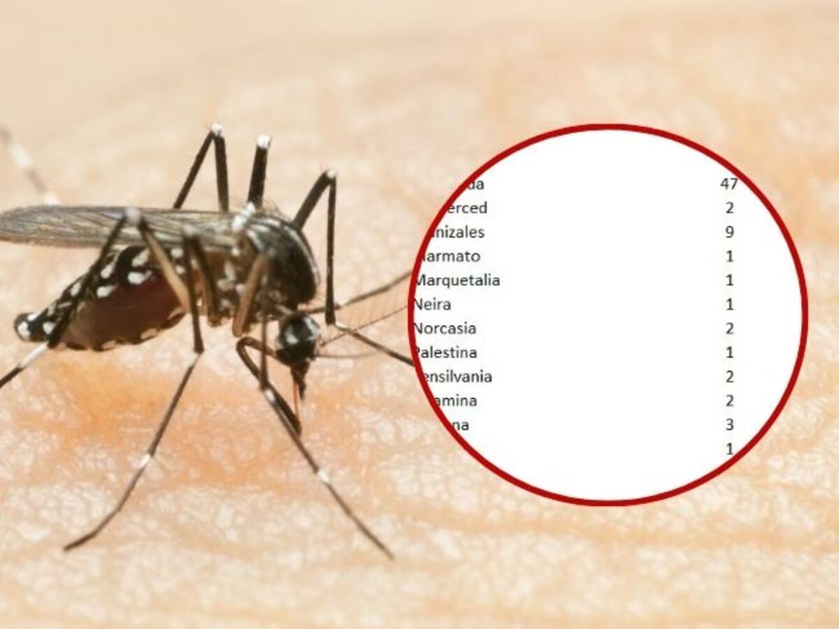 En Caldas hay 120 casos de dengue entre probables y confirmados, La Dorada tiene mayor registro