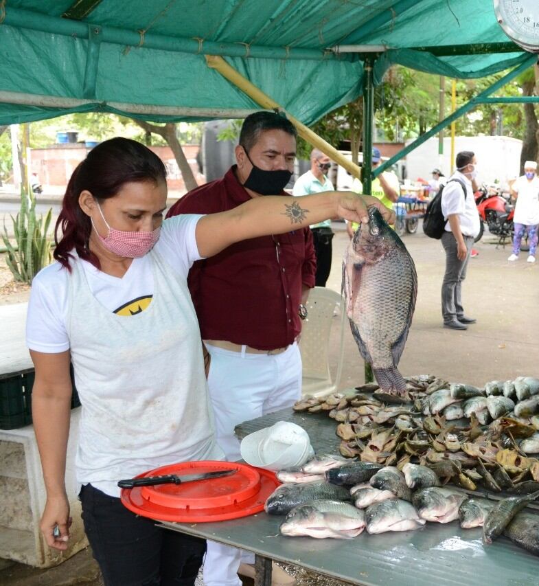 Aspectos como el brillo de los ojos, el color rojizo de las branquias. Foto Relacionada.