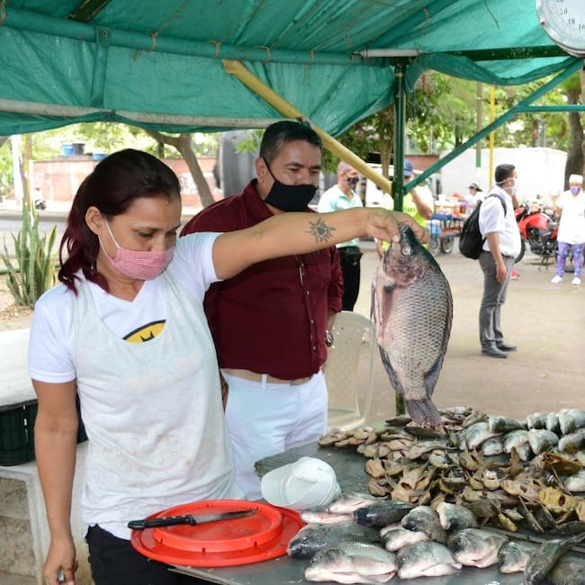 Aspectos como el brillo de los ojos, el color rojizo de las branquias. Foto Relacionada.