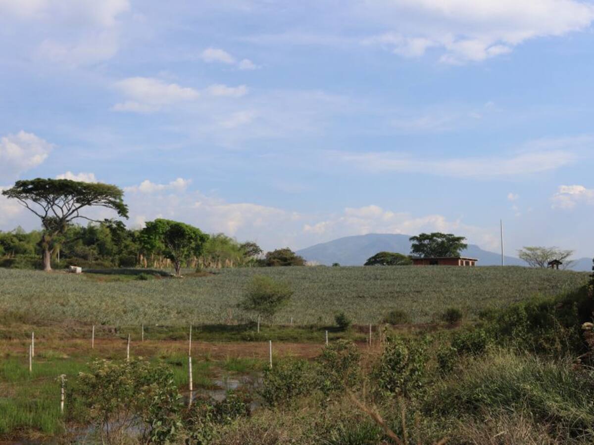 En Bolívar, Unidad de Restitución de Tierras sigue cumpliendo fallos