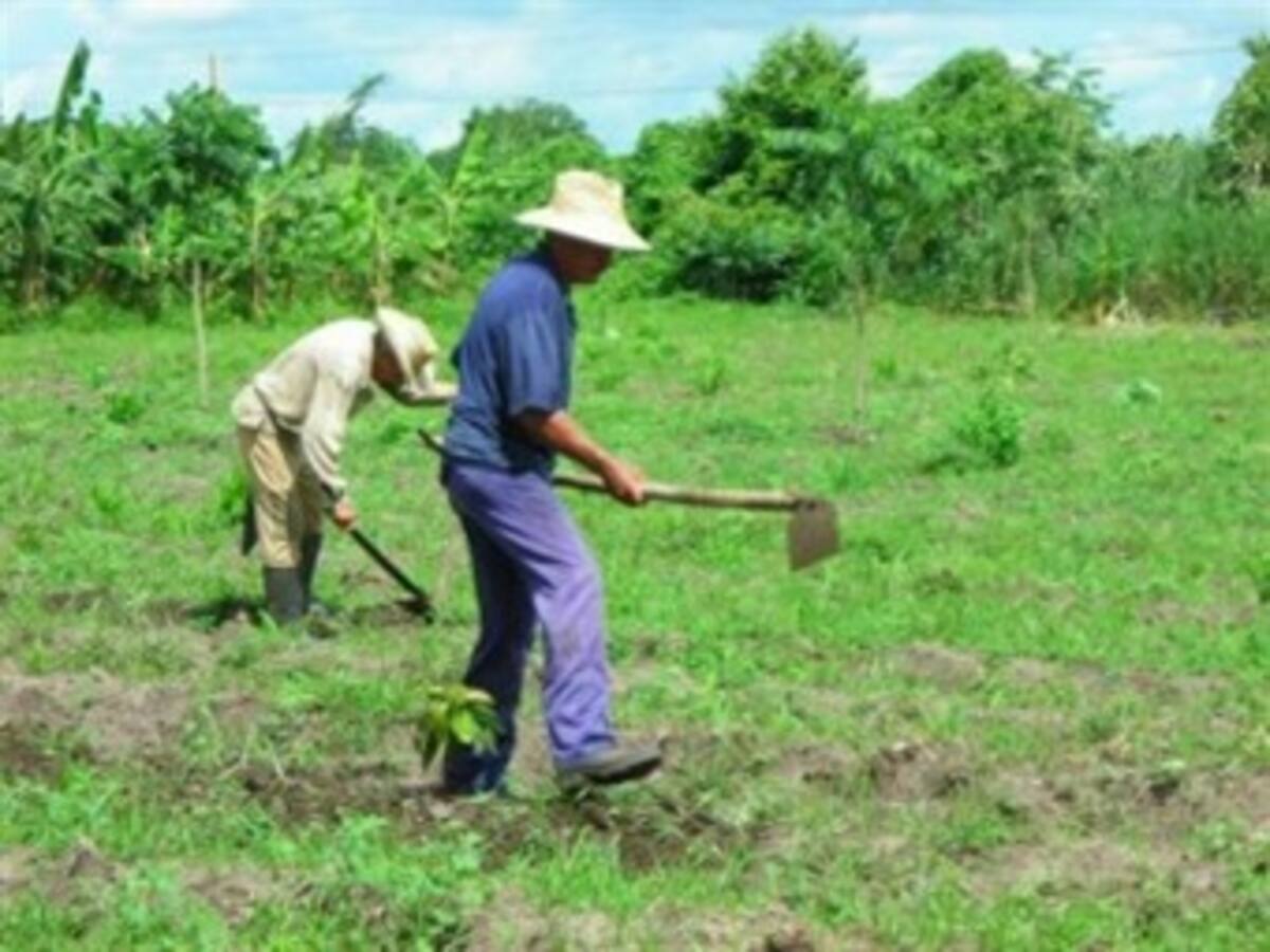 Gobierno revisará todos los títulos de tierras a partir del lunes