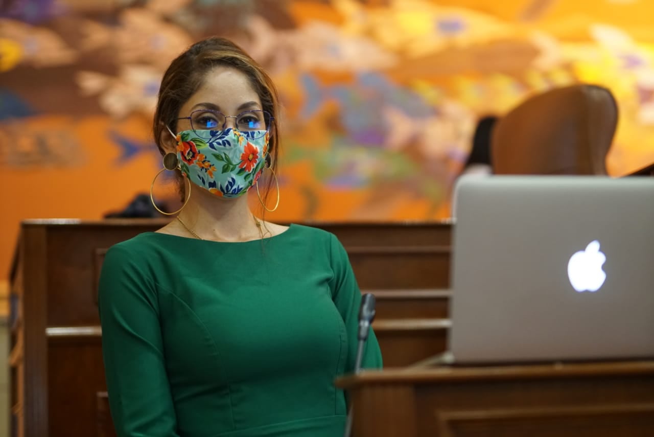 La representante a la Cámara por el partido Centro Democrático, Jennifer Arias, será la presidente de la Cámara (Colprensa-Cámara)