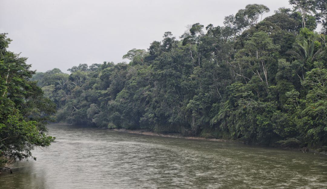 Imagen de referencia.