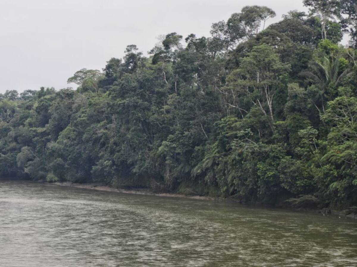 Operación contra disidencias FARC en Putumayo deja 10 muertos