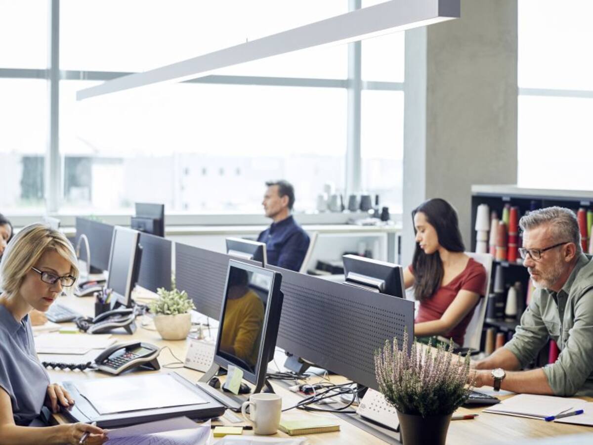 La Embajada Británica busca practicante de ciencia e innovación