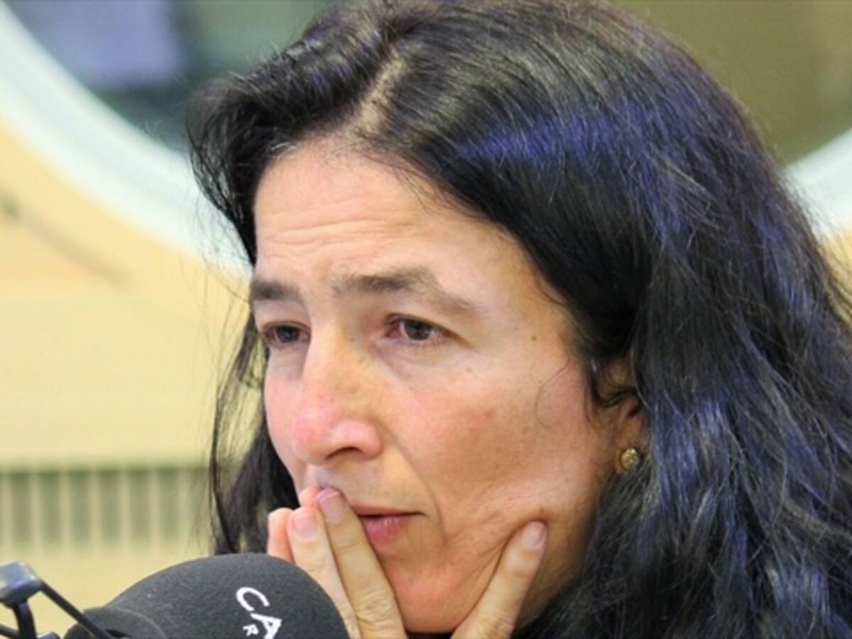 Estamos en la parte más difícil del proceso: Luz María Sierra