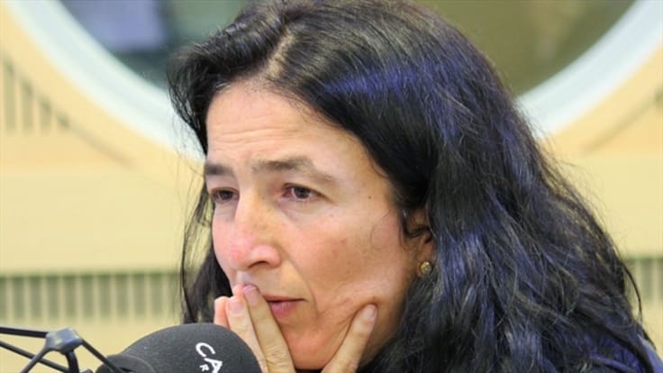 Estamos en la parte más difícil del proceso: Luz María Sierra