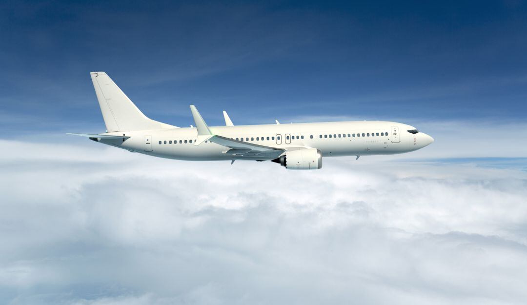 Imagen de referencia