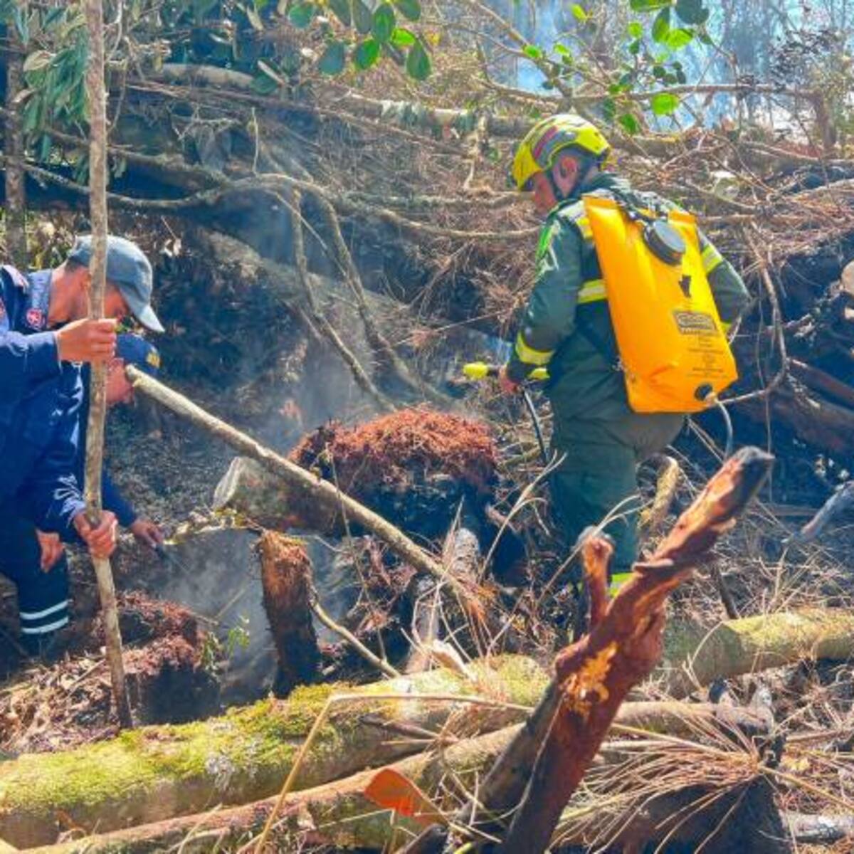 Procuraduría pide atender incendio forestal en Santander que completa varios días activo