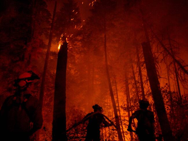 AME2453. COLUMBIA BRITÁNICA (CANADÁ), 18/08/2023.- Fotografía cedida por la oficina de incendios forestales de un incendio en El Lago Adams, el 02 de agosto de 2023, ubicado en la Columbia Británica (Canadá). Las autoridades canadienses ordenaron este viernes la evacuación de miles de personas en varias localidades del oeste del país ante el rápido avance de uno de los más de 1.000 incendios forestales que están activos en Canadá. Miles de habitantes de las ciudades de Kelowna y West Kelowna, en la provincia de Columbia Británica, recibieron a primeras horas del viernes la orden de evacuar sus viviendas ante el avance de las llamas de un incendio forestal que incrementó su tamaño un 100 % en sólo 24 horas. EFE/ Provincial Wildfire Information Officer SOLO USO EDITORIAL/NO VENTAS/SOLO DISPONIBLE PARA ILUSTRAR LA NOTICIA QUE ACOMPAÑA/CRÉDITO OBLIGATORIO