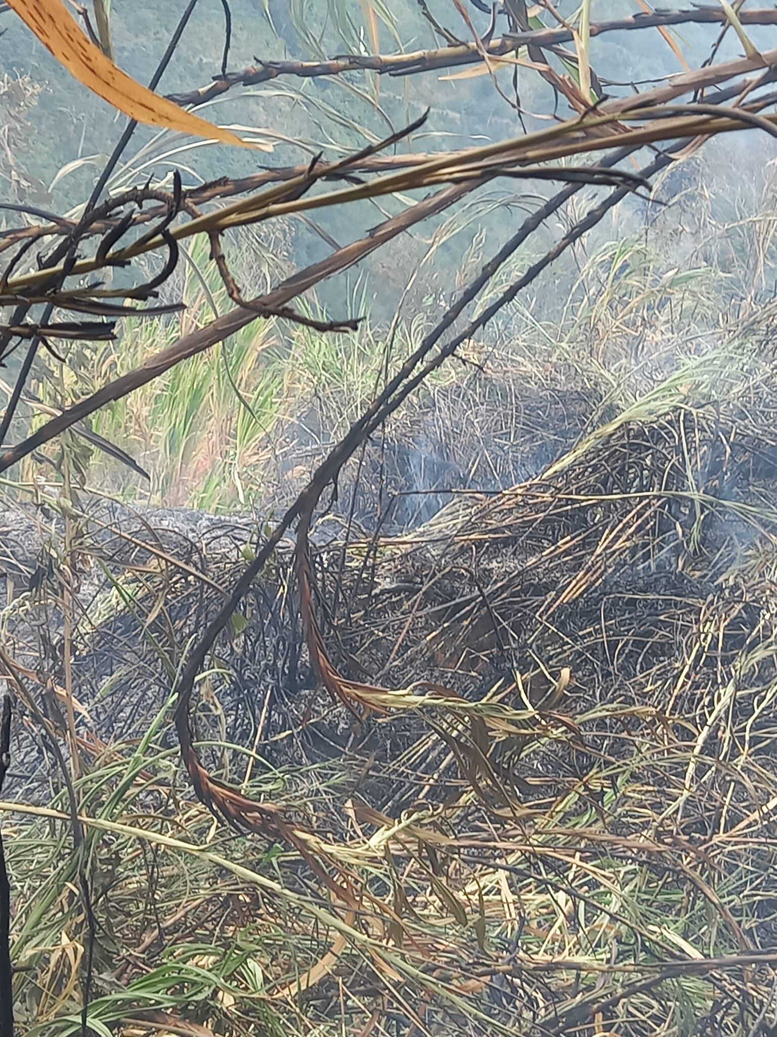 Foto: Cuerpo de Bomberos de Salamina, Caldas.