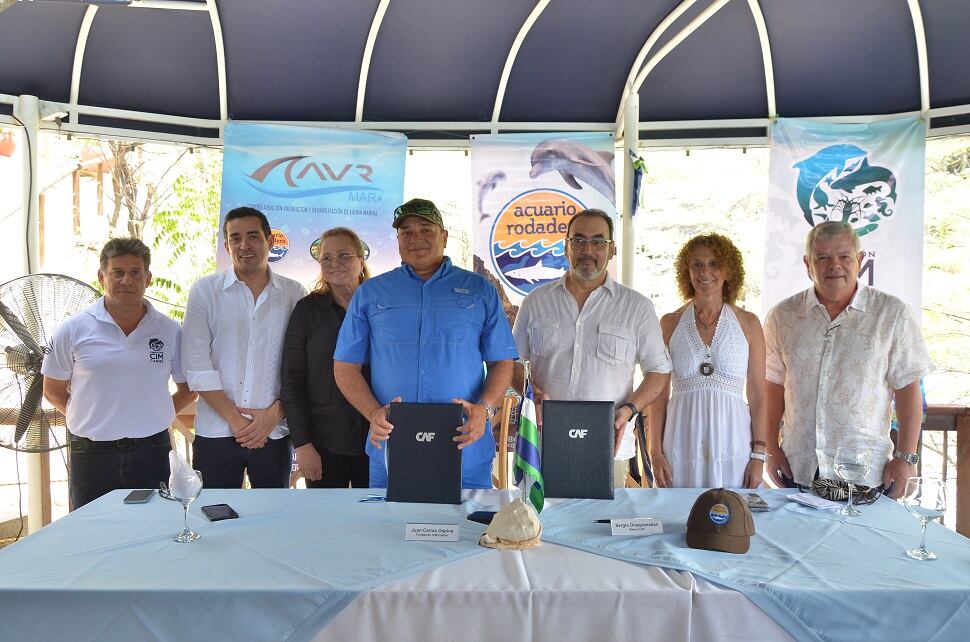 CAF suma aliados por la restauración de arrecifes de corales en Colombia