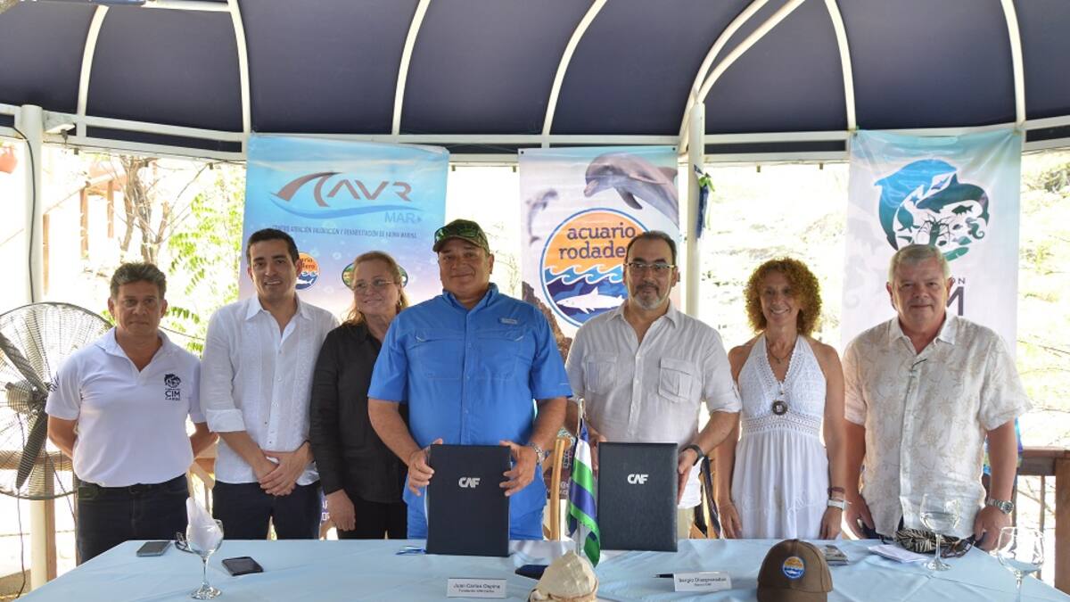 CAF ratifica su compromiso para lograr la restauración de arrecifes de corales en Colombia