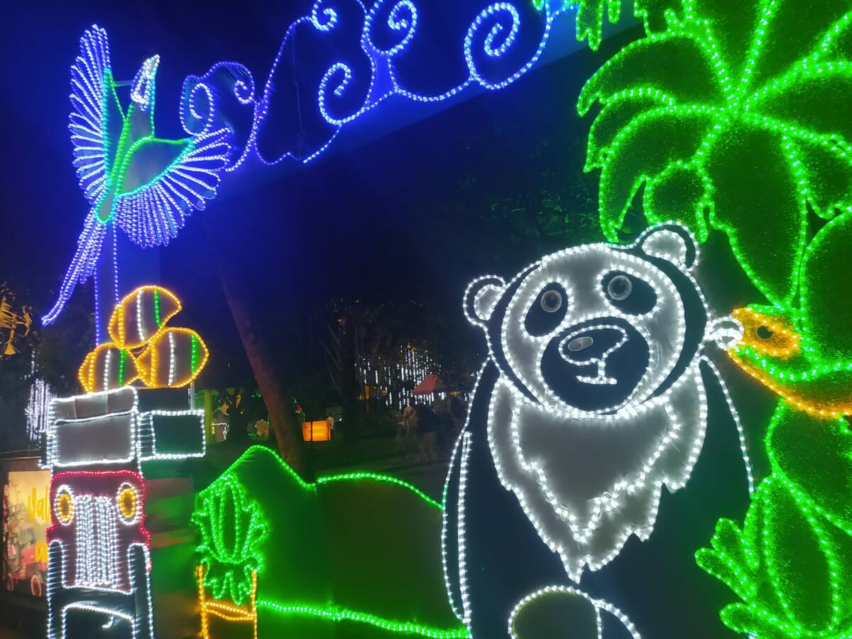 Miércoles 21 de diciembre, las noticias más importantes de Armenia y Quindío