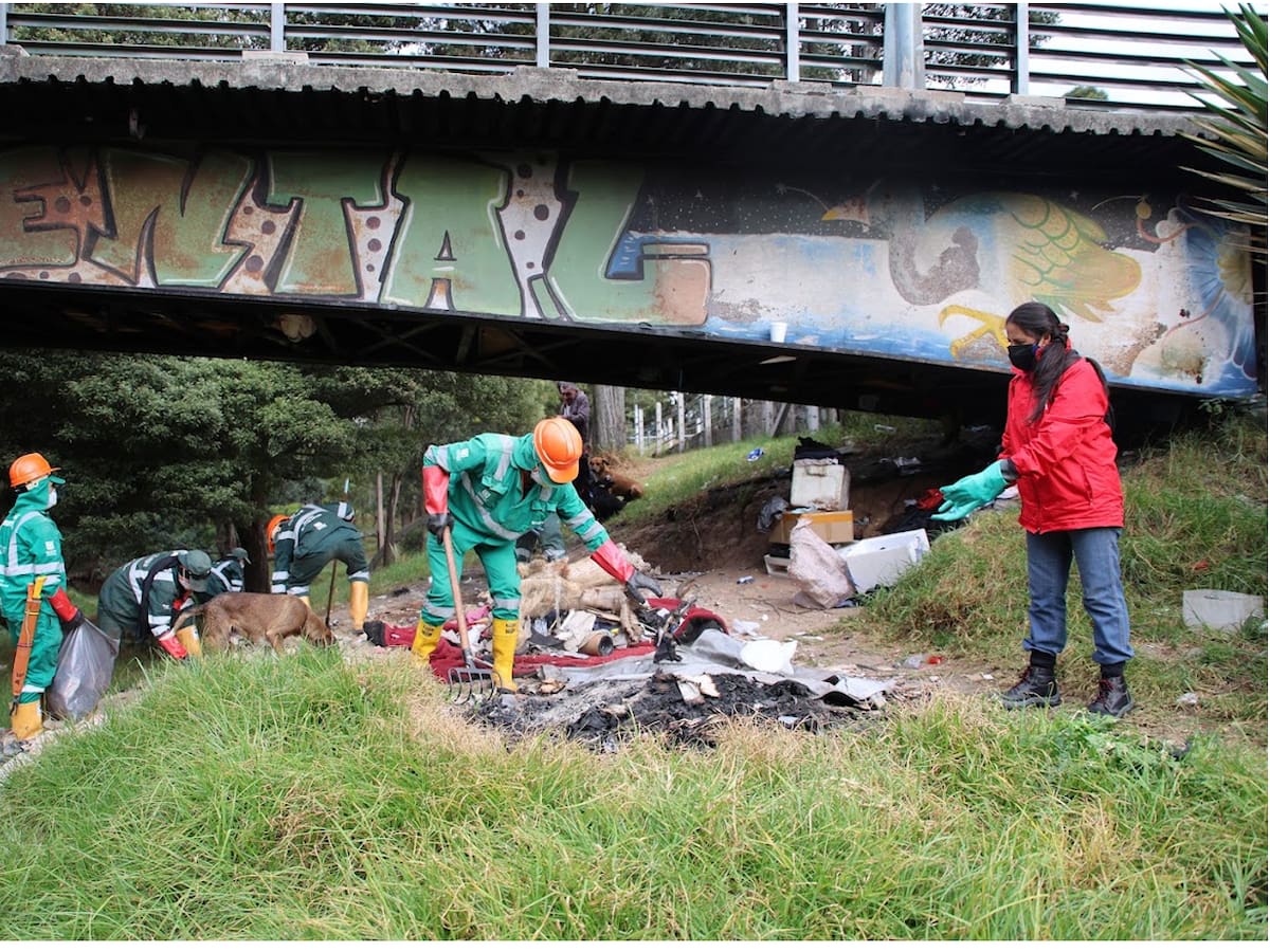 Alcaldía de Bogotá recuperó 450 metros del Humedal Tingua Azul tras desmontar ocho cambuches