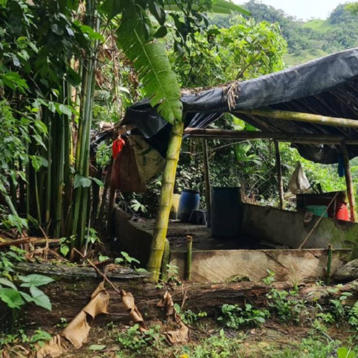 El Ejército destruyó tres laboratorios del ELN en Valdivia