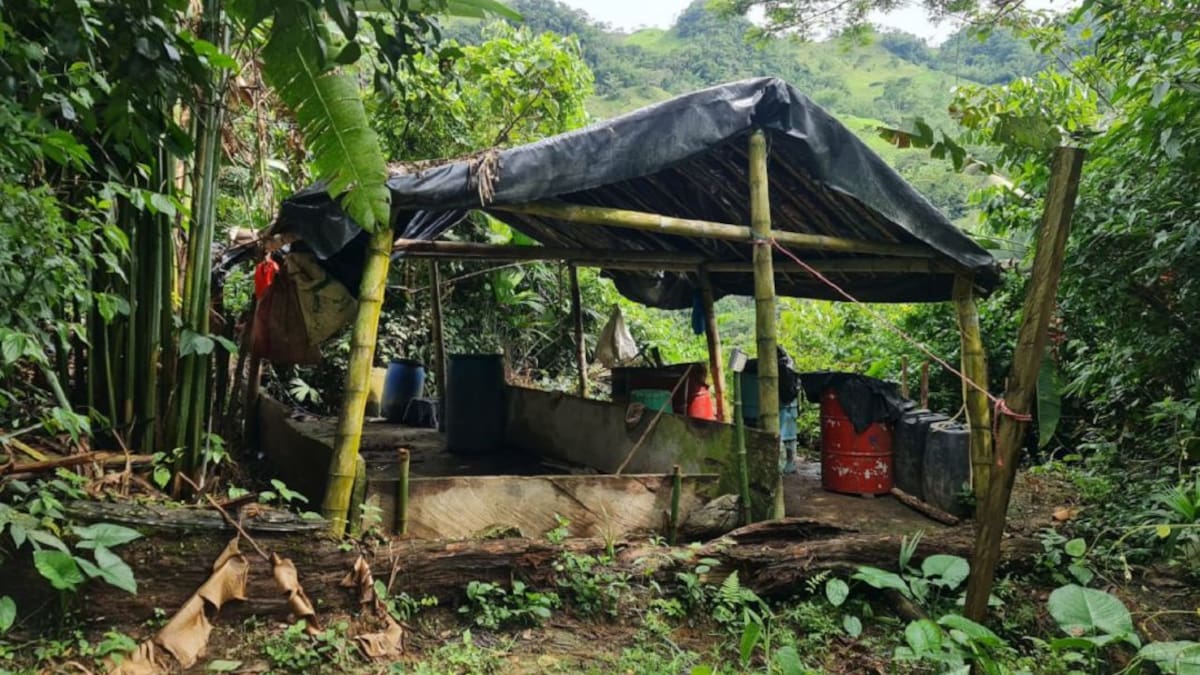 Golpe al narcotráfico en el municipio de Durania y Bucarasica