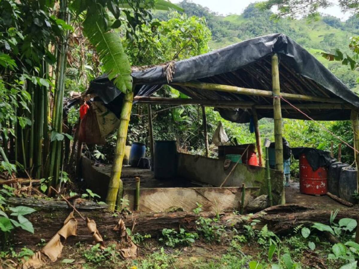 Destruído laboratorio de coca en Norcasia - Caldas