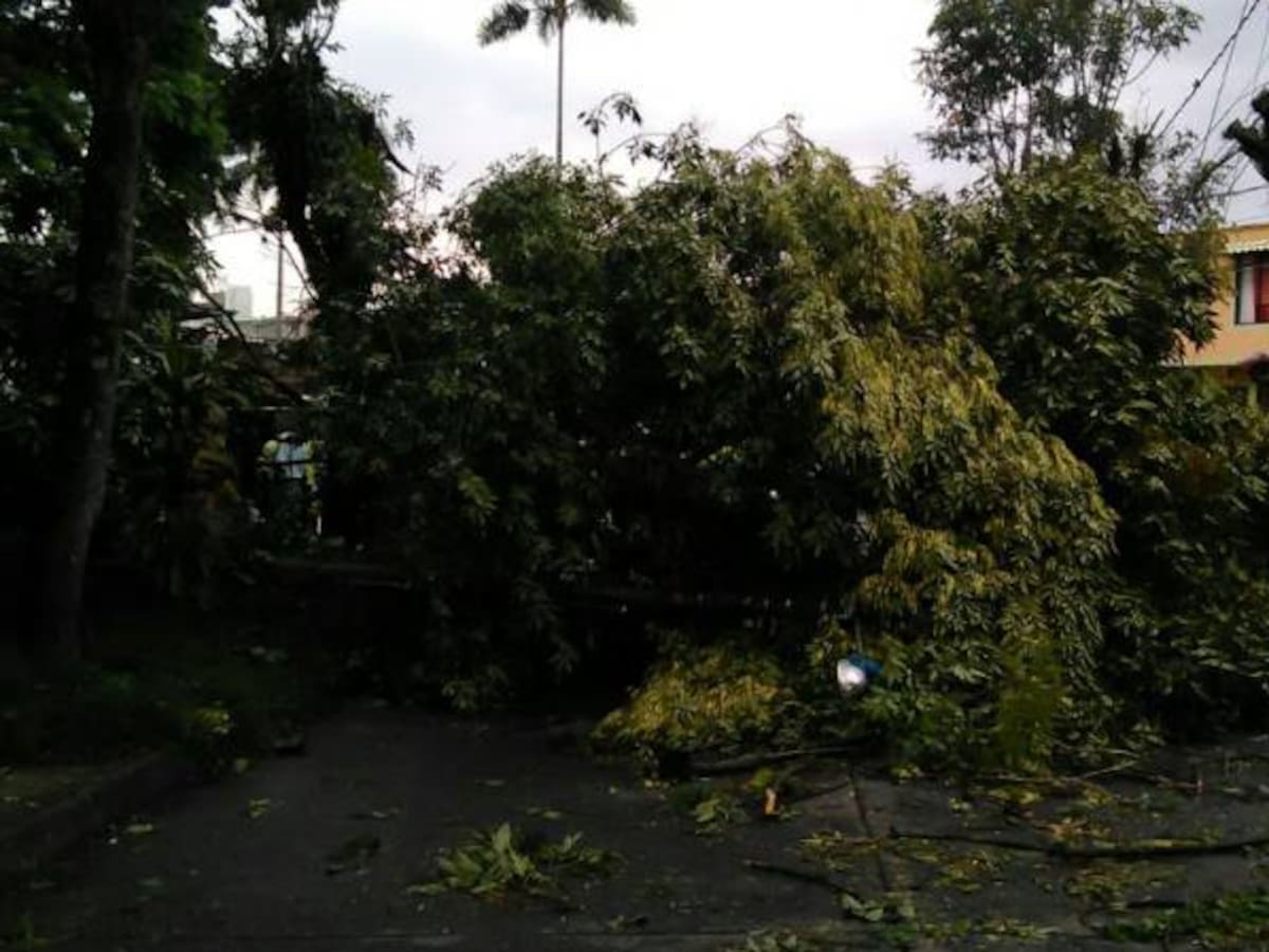 Las lluvias causan estragos en colegios, cárcel y viviendas del Área Metropolitana
