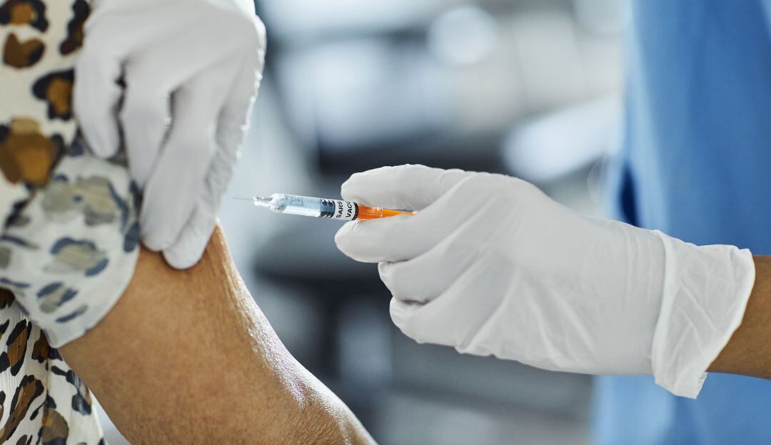 Imagen de referencia 