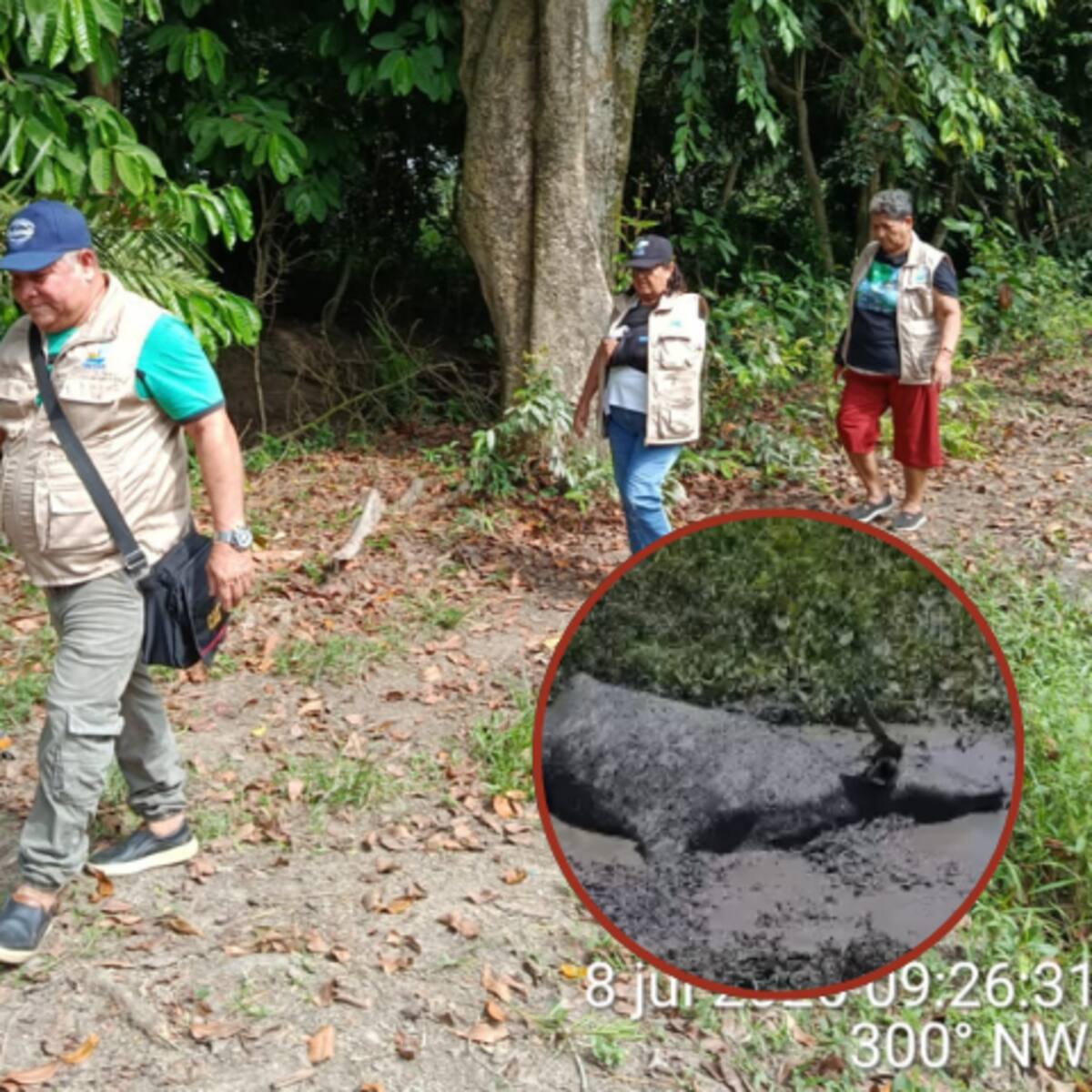 Fedepesan advierte contaminación con crudo en Barrancabermeja: murió un búfalo en la zona