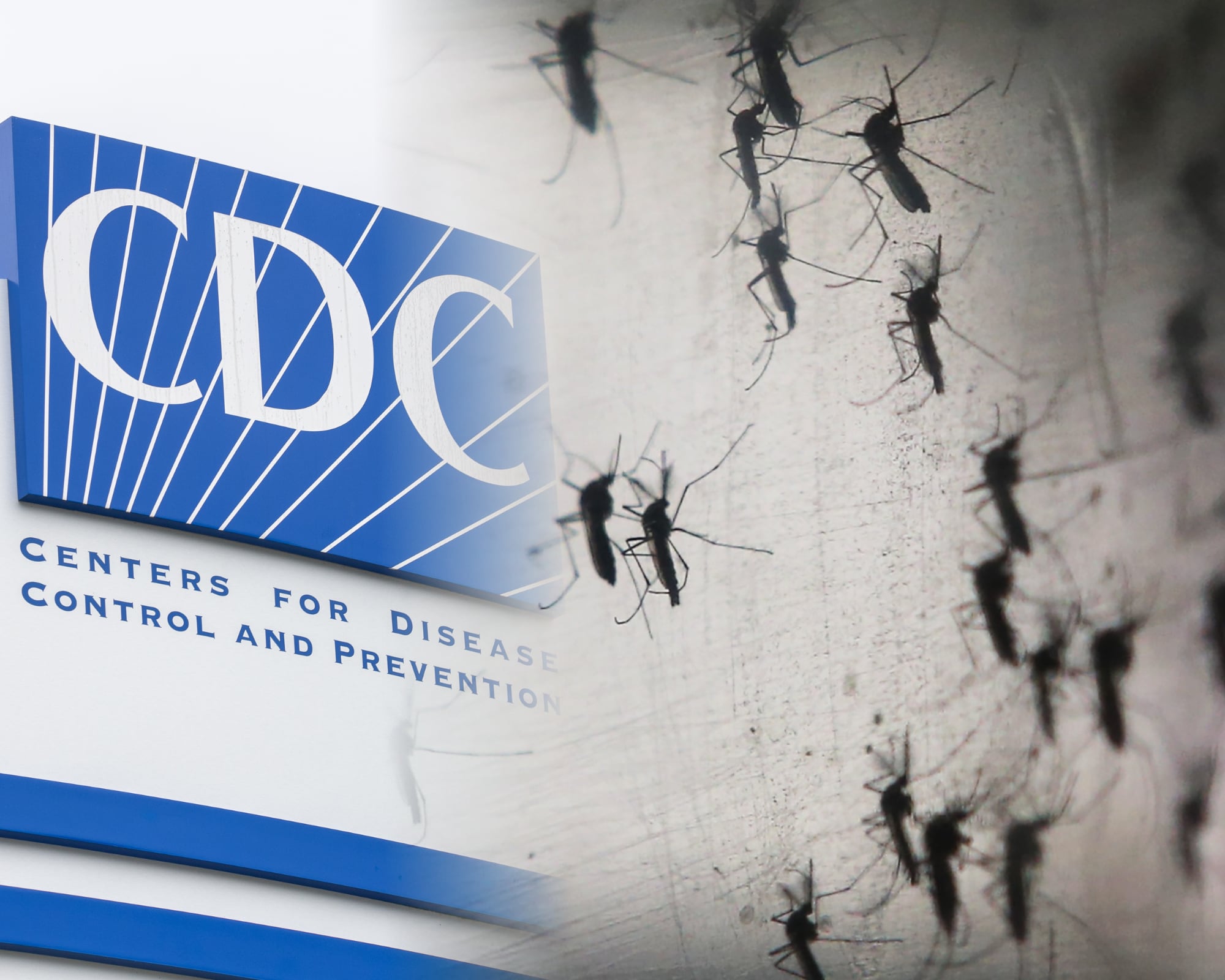 El Centro para el Control y la Prevención de Enfermedades de Estados advierte sobre el repunte de casos de dengue en el país y la posibilidad de contagio.
(Foto:   Cortesía / Caracol Radio )