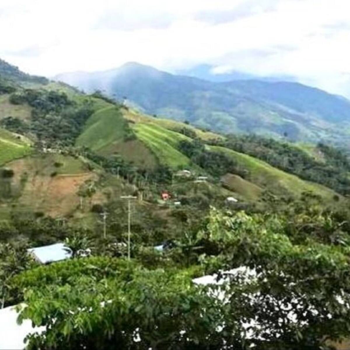 Buscan a tres secuestrados en Argelia, Cauca