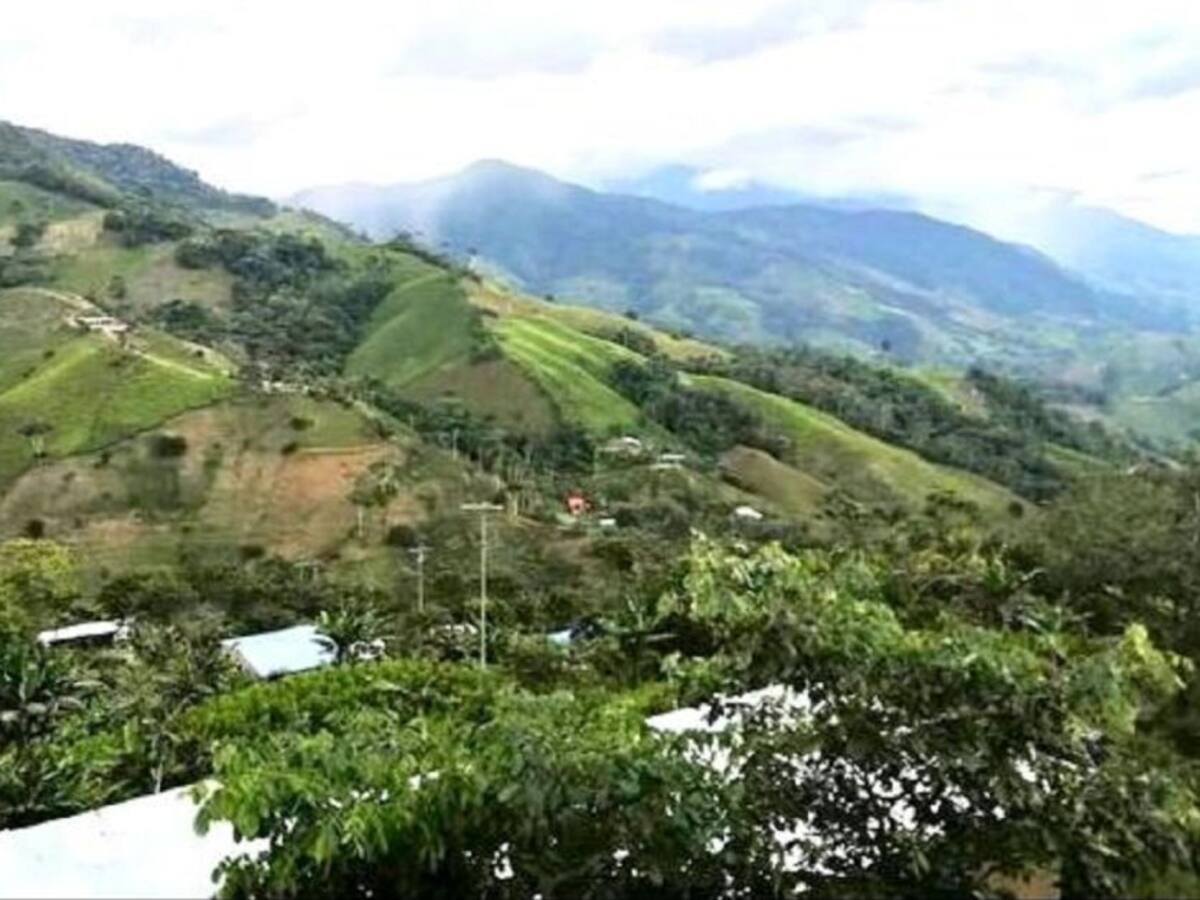 Buscan a tres secuestrados en Argelia, Cauca