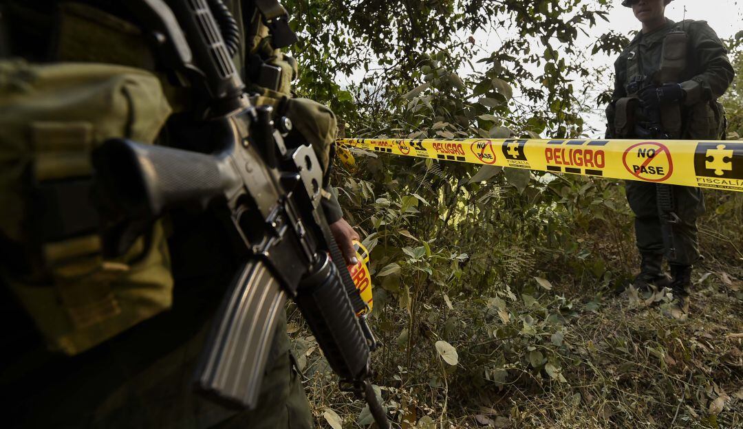 Imagen de referencia