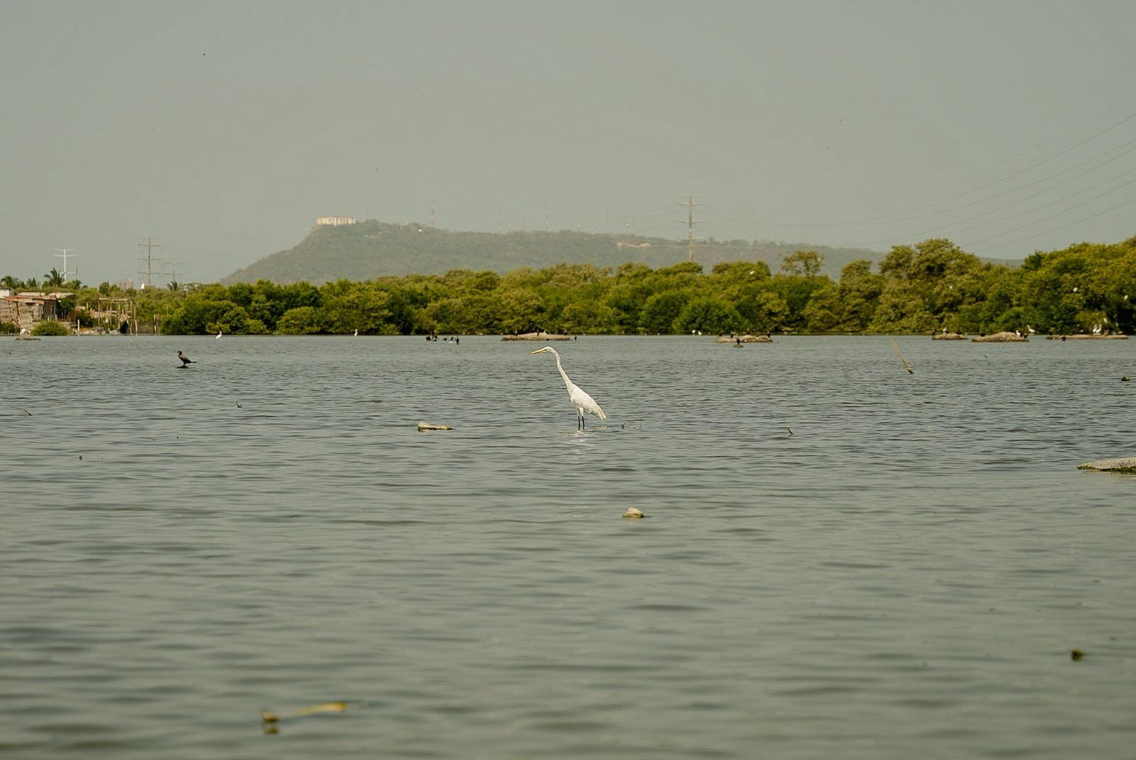 Alcaldía de Cartagena