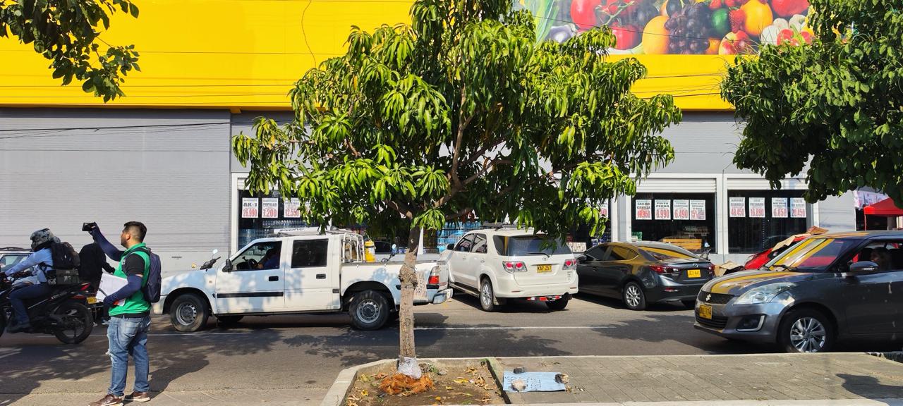 El 25 de enero pasado desde la secretaría de medio ambiente se radicó ante la CAM, la Fiscalia y la Policia Metropolitana la respectiva denuncia por este repudiable hecho que afectó a esta especie.