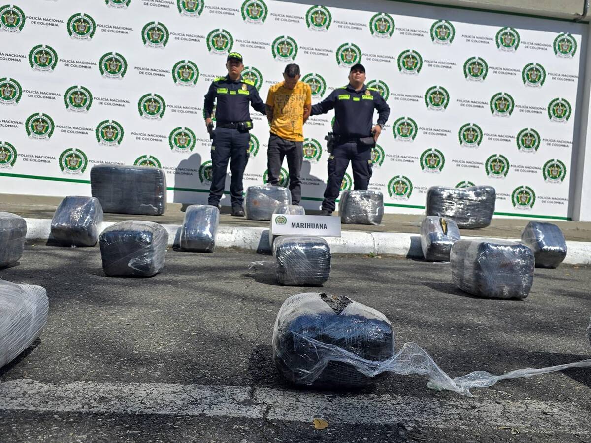 Incautan en Ibagué cargamento de marihuana avaluado en más de $100 millones