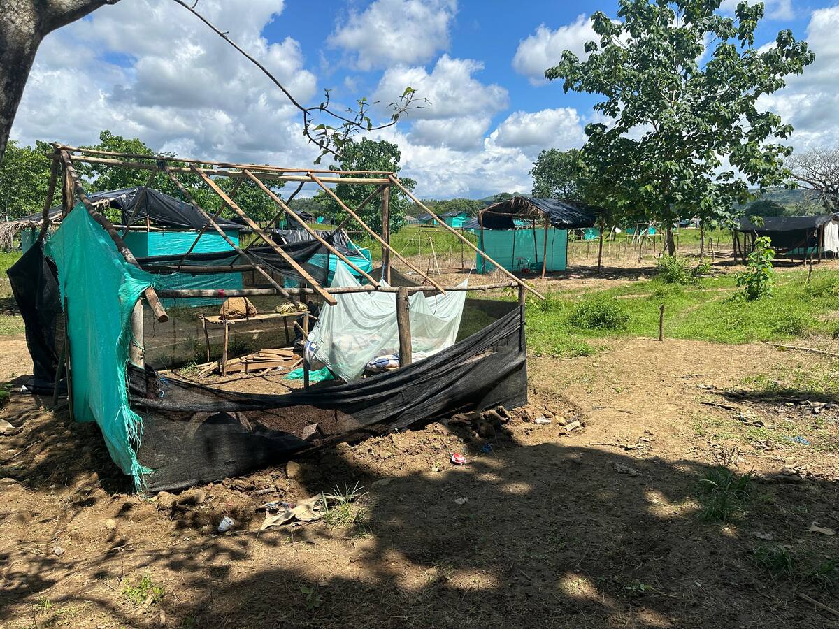 Risaralda sigue en alerta por posibles nuevos episodios de invasiones a terrenos privados