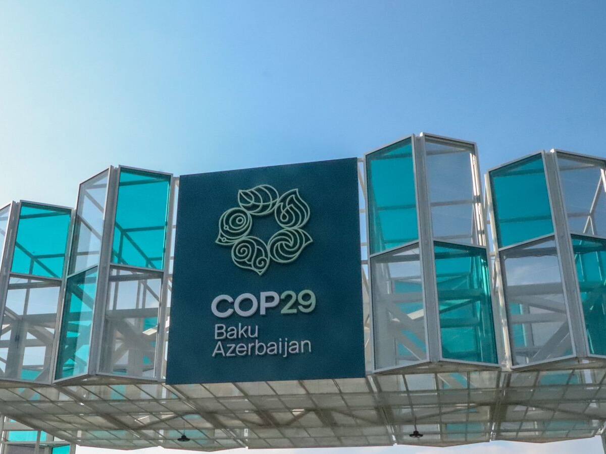 COP 29: ONU alerta que objetivos climáticos del acuerdo de París están en grave peligro