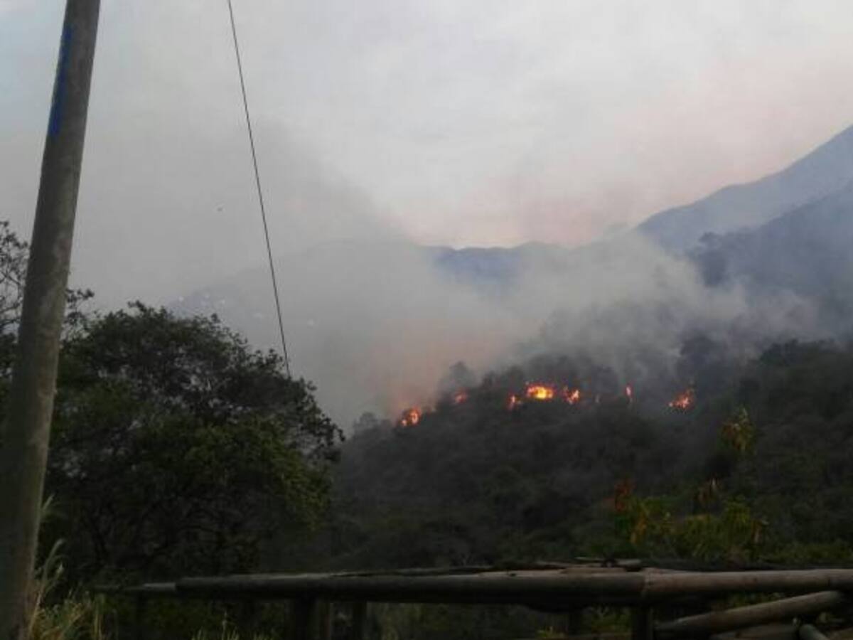 En Cali los incendios forestales han acabado con 748 héctareas