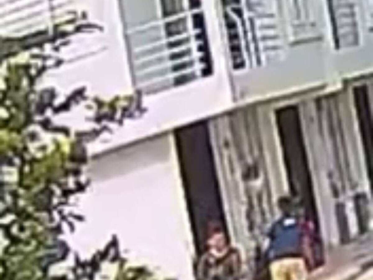 Un menor de 11 años fue atacado por perro Pitbull en Circasia, Quindío