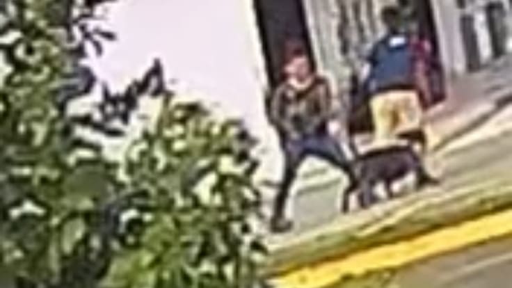 Informe caso perro en Circasia