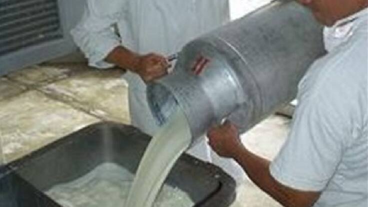 María Fonseca de Asoleche