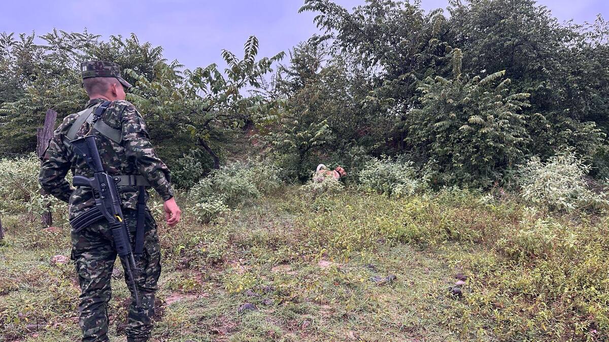 Campesinos obligados por disidencias a bloquear al Ejército en La Plata, Huila