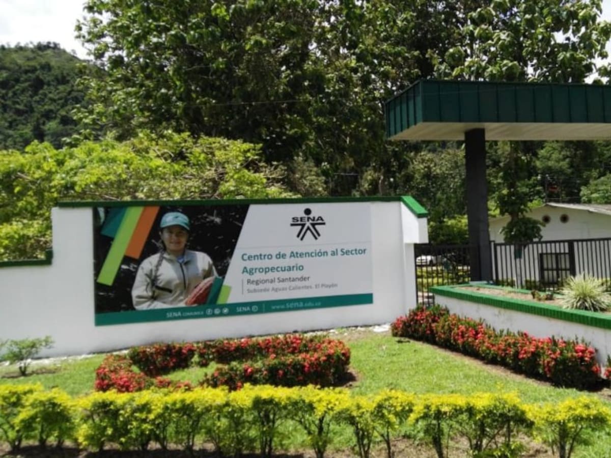 Sena se queda con finca Aguas Calientes en el Playón