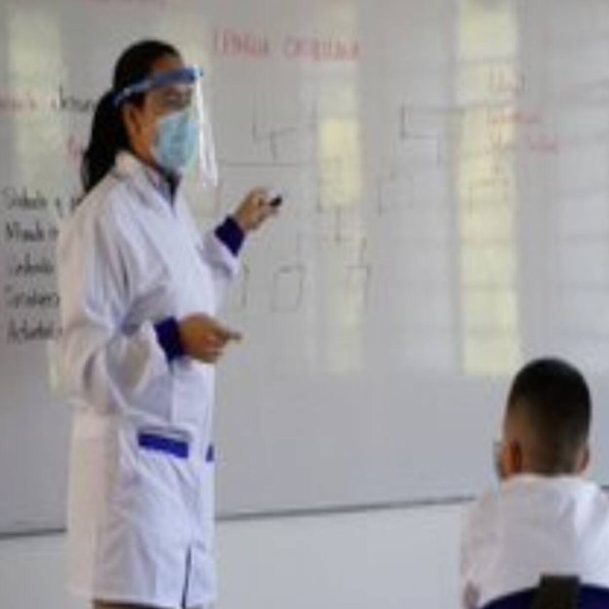 Por problemas para liquidar la nómina, no les han pagado a los docentes