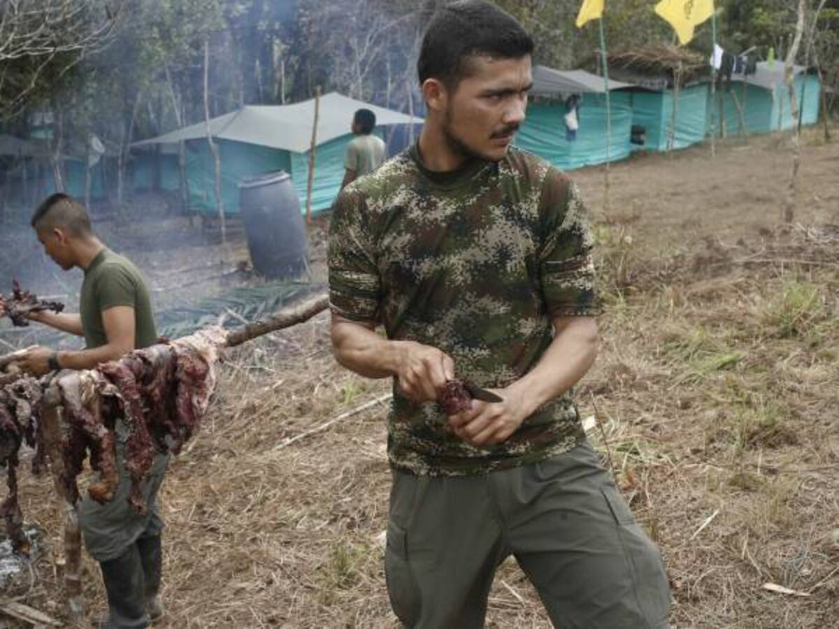 ¿Qué le preocupa a los guerrilleros rasos de las Farc?