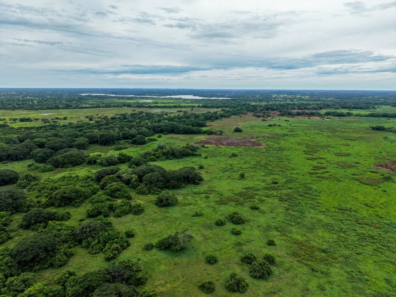 Agencia Nacional de Tierras anuncia la entrega de más de 1.560 hectáreas en Pueblo Nuevo, Córdoba. Foto: prensa ANT.