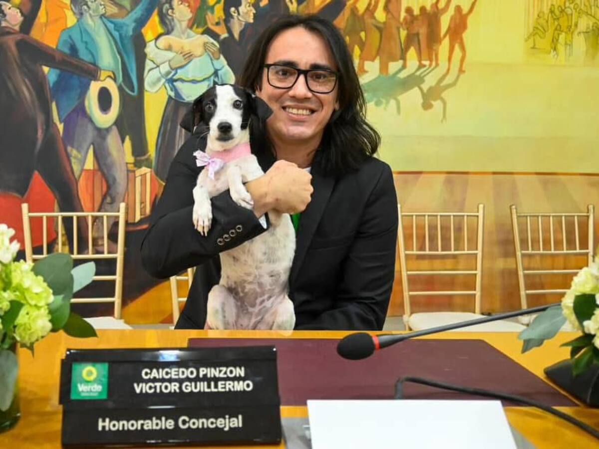 Indignación en Cúcuta por nuevo caso de maltrato animal